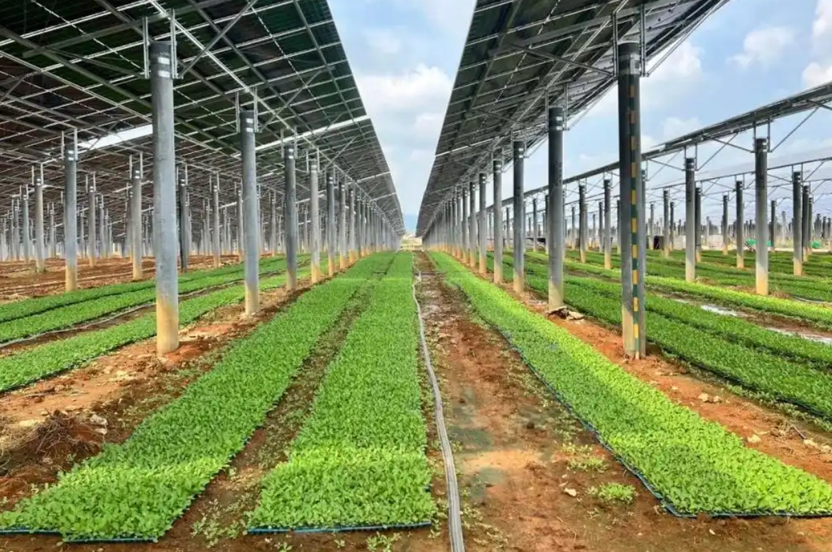 Agri-PV & BESS System