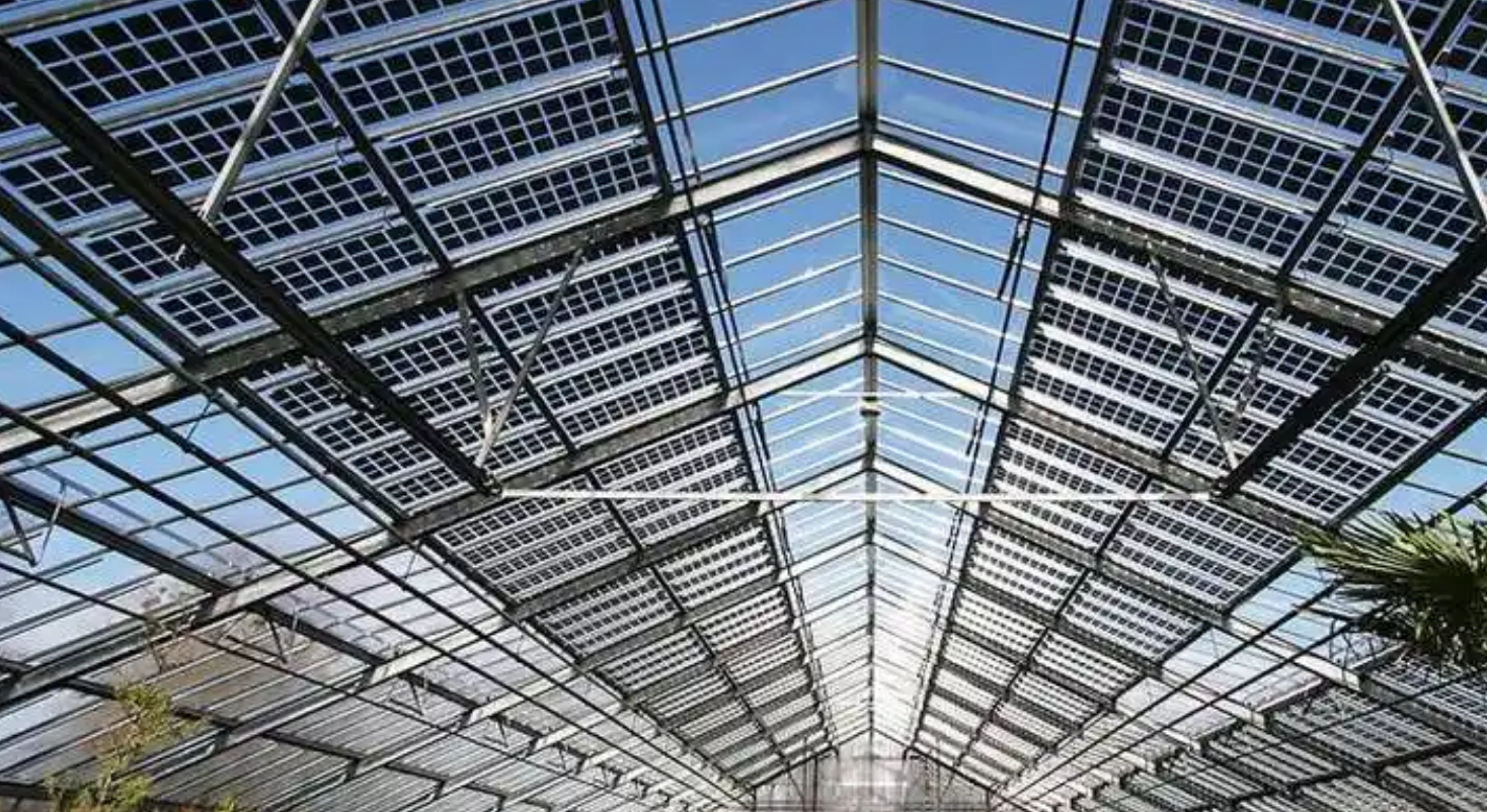 微信图片_2026-03-12_233018_017.png
