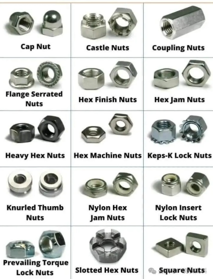 Bolt